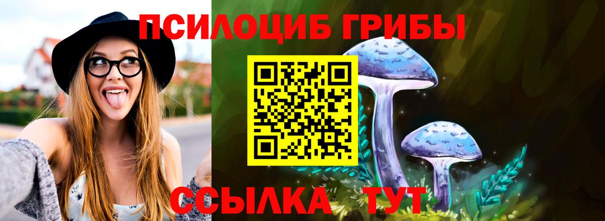 Псилоцибиновые грибы Psilocybe  Вход с VPN  Галлюциногенные грибы мицелий  Южноуральск 